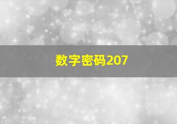 数字密码207