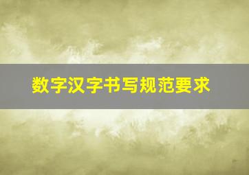 数字汉字书写规范要求