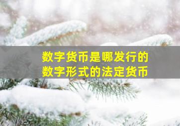 数字货币是哪发行的数字形式的法定货币