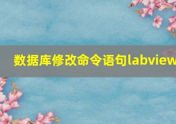 数据库修改命令语句labview