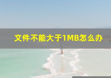 文件不能大于1MB怎么办