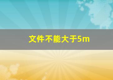 文件不能大于5m