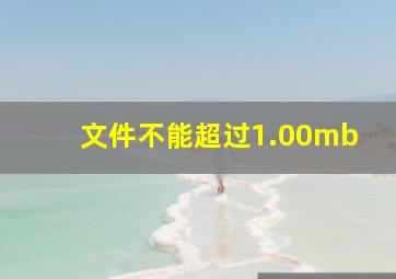 文件不能超过1.00mb