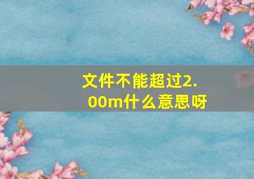 文件不能超过2.00m什么意思呀