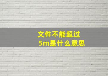 文件不能超过5m是什么意思