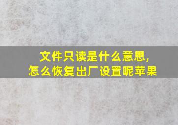 文件只读是什么意思,怎么恢复出厂设置呢苹果