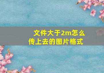 文件大于2m怎么传上去的图片格式