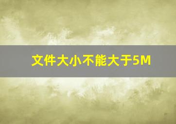 文件大小不能大于5M