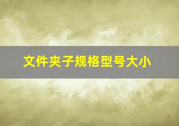 文件夹子规格型号大小