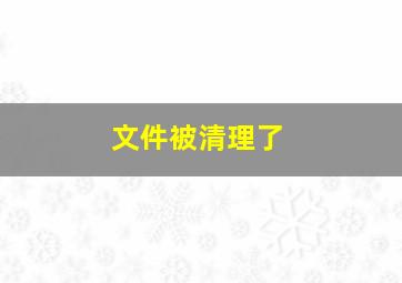 文件被清理了