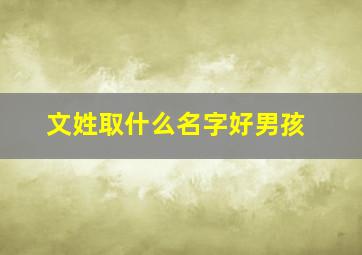 文姓取什么名字好男孩