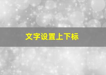 文字设置上下标