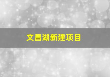 文昌湖新建项目