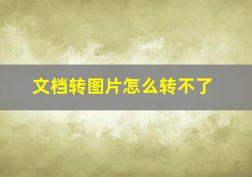 文档转图片怎么转不了