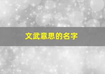 文武意思的名字