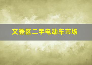 文登区二手电动车市场