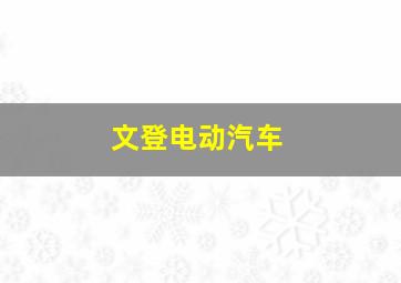 文登电动汽车