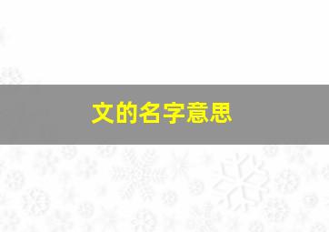 文的名字意思