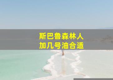 斯巴鲁森林人加几号油合适