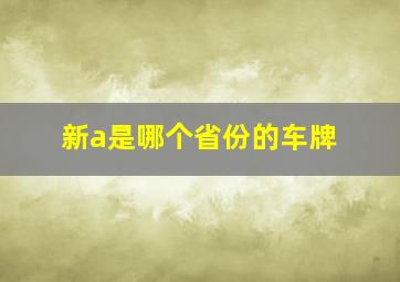 新a是哪个省份的车牌