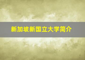 新加坡新国立大学简介