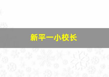 新平一小校长