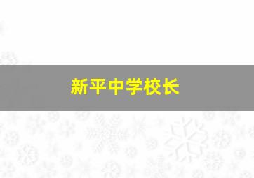 新平中学校长