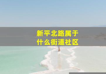 新平北路属于什么街道社区