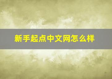 新手起点中文网怎么样