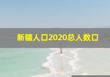 新疆人口2020总人数口