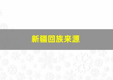 新疆回族来源