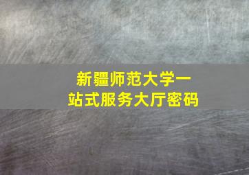 新疆师范大学一站式服务大厅密码