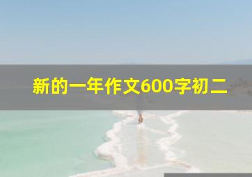 新的一年作文600字初二