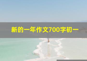 新的一年作文700字初一