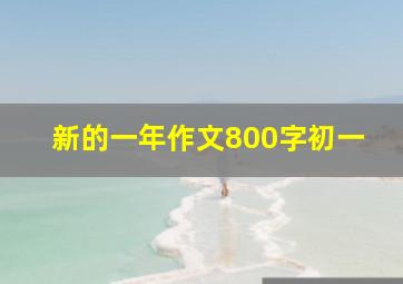 新的一年作文800字初一