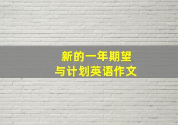 新的一年期望与计划英语作文