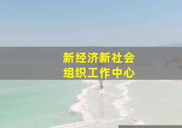 新经济新社会组织工作中心