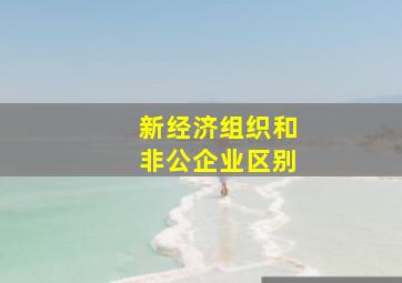 新经济组织和非公企业区别