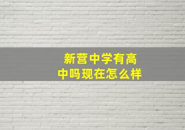 新营中学有高中吗现在怎么样