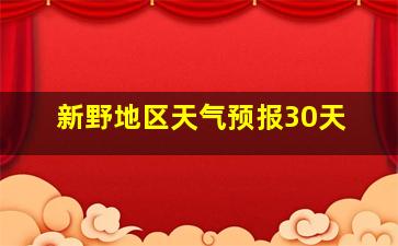 新野地区天气预报30天