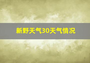 新野天气30天气情况