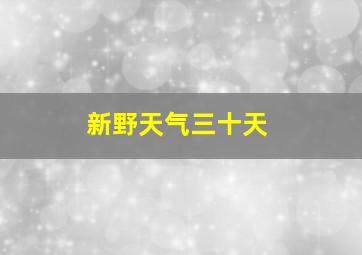 新野天气三十天