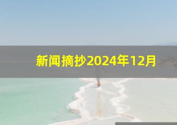 新闻摘抄2024年12月