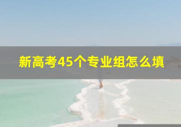 新高考45个专业组怎么填