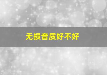 无损音质好不好