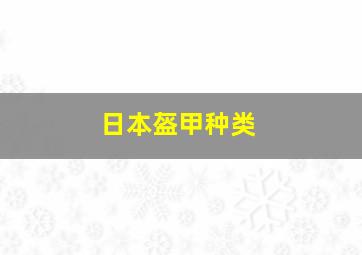 日本盔甲种类