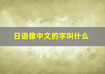 日语像中文的字叫什么