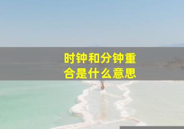 时钟和分钟重合是什么意思