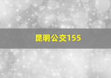 昆明公交155