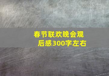 春节联欢晚会观后感300字左右